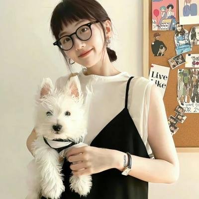 纽约灾星第二季